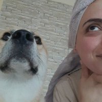 fatê sıkılıyor (@_fate21) 's Twitter Profile