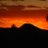 60s_protester's profile image