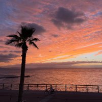 無 (@yantoo_06) Twitter profile photo