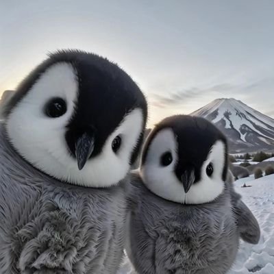 Melon_paaan_'s profile picture. 