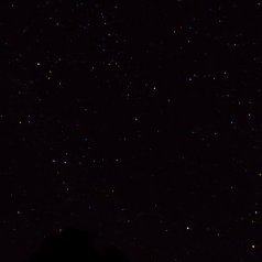 elacic888's profile picture. 