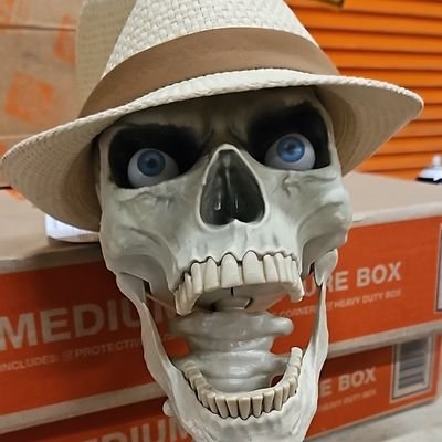 Home Depot Skeleton. @vanillaice #1 Fan. @bengals @reds fan. My thoughts and opinions are my own and do not reflect The Home Depot. #Hhaamamhhaamamam