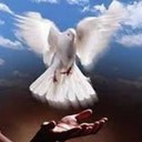 Sharon Kaufman - @neicey62 - Twitter