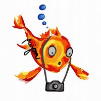 Paja *pajon (@project_pajon) 's Twitter Profile