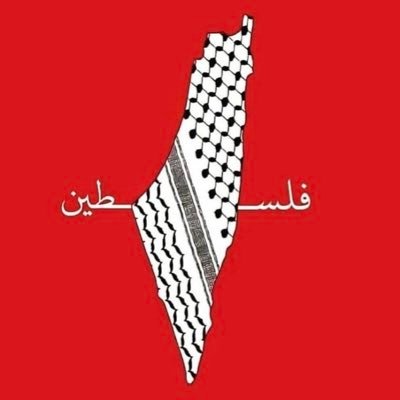 halopalestine's profile picture. Consultant