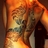 Pali257's profile image