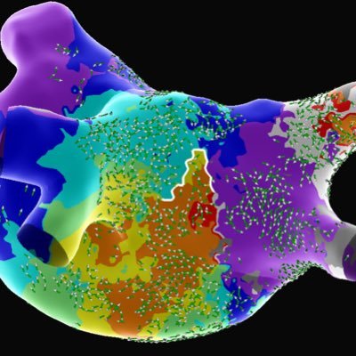 Clinical Specialist, CEPS @AbbottCardio