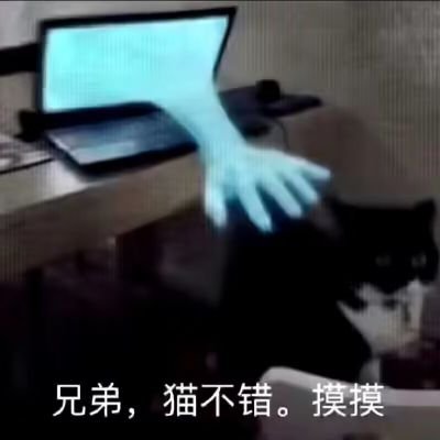 风篁影渡さんのプロフィール画像