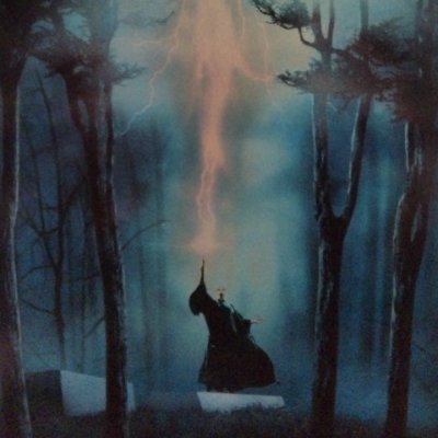 VNicomino's profile picture. ハリポタ関連メイン
spitz　ランニング時々