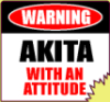 akita as is