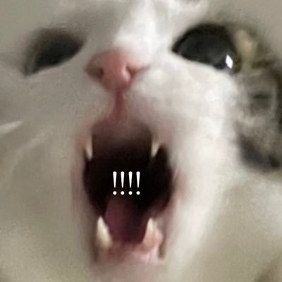 xrxxdnxs's profile picture. ««Mother of crows »» “Family don’t end with blood.” Dean’s pie 🥧 A veces hago hilos ~ 26