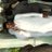 MuneerA53780961's profile image