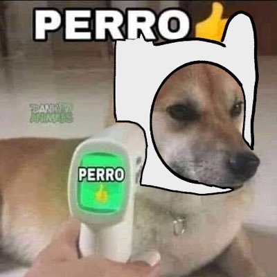 PERRO👍さんのプロフィール画像