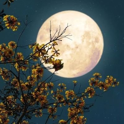 Marycesb's profile picture. 