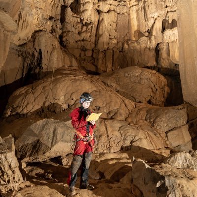 allyaltel1994's profile picture. MS @ gatech 🐝