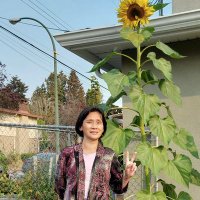 Fanny Qiu (@flowingsilk) 's Twitter Profile