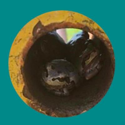 akira_miyasato1's profile picture. 著者⇒宮里　東  50代

特徴:身長160cm位,小太り,短髪,高校中退,怪しい動画を送り付けてきた為、長谷川毅81歳に洗脳されてるのか?
／何故、遠藤さくらになりすまして、著作物の投稿をしているんですか？しかも事実でない事の方が多いですよね。根も葉もない風評被害により、2年以上苦しめられてる人が沢山いるんですけど。