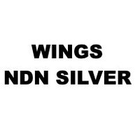 NDN Silver(@WingsNDNSilver) 's Twitter Profile Photo