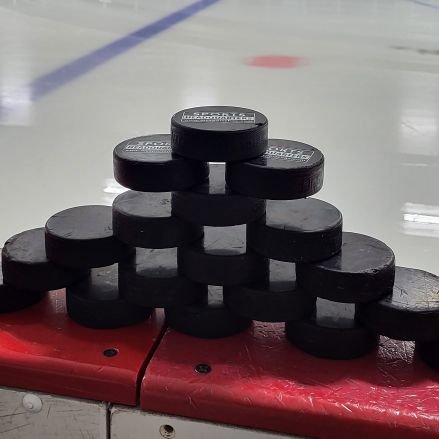 Rochester MN high school hockey festival since 1993