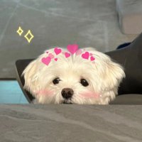 เคย์เจย์ ♡ STANDOIL พร้อมส่ง 🐈💗 (@kayjay0499) 's Twitter Profile