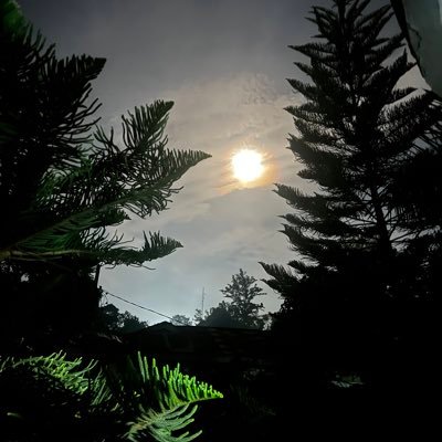 Lyndahaokip0508's profile picture. Indian ,BigBang-ViP, Humility before religion.