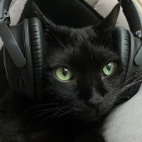 ׂׂ (@snapegender) 's Twitter Profile Photo