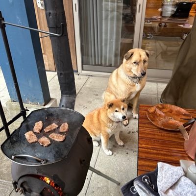 Rika_127ren's profile picture. 氣志團💙ひかる 金爆💜じゅんじゅん NIGHTMARE❤️柩  仙台貨物❤️フル