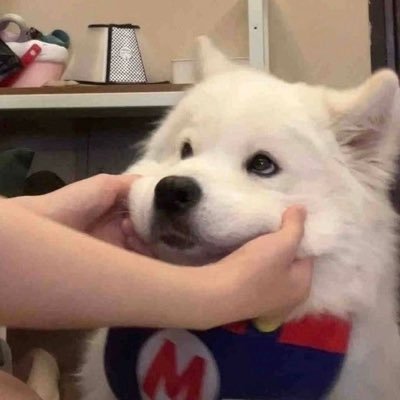 _youareminestar's profile picture. ⓑⓔⓛⓛⓞ🖐🏻 in love w/ @ATEEZofficial 🏔 @pledis_17 🐫@Official_YJS_ 🐧 @OfficialMonstaX🐸 @WEi_Official🐰