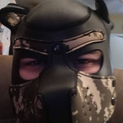 RandyHotaling36's profile picture. 