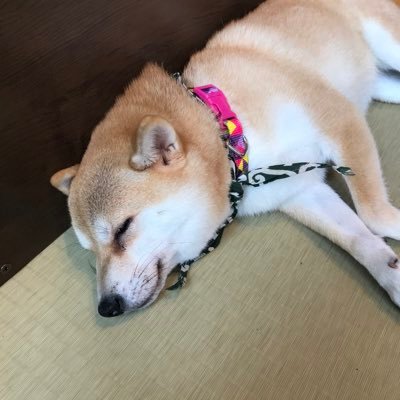 umpny's profile picture. @mi0104kki @EDEN_KONO