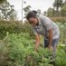 Kiamen Farms (@kiamenfarms) Twitter profile photo Kiamen Farms (@kiamenfarms) Twitter profile photo