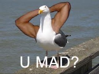 MikeTruelove941's profile picture. ufc follower, car enthusiast, real one. -Instagram @denali_34s