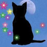 mieana's profile picture. 愛猫は虹の橋にいます