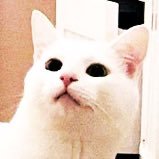 MO_ST4R (@mo_st4r) 's Twitter Profile