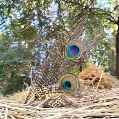 talpadagautam1's profile picture. 🙏 farm work