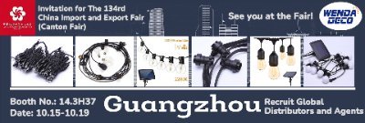 wendadeco's profile picture. Wendadeco is outdoor festive lights and festoon lights illumination supplier. OEM/ODM Service is also available.