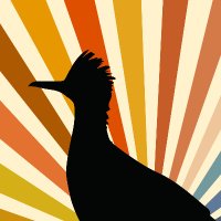 GoToBorregoSprings (@gotoborrego) 's Twitter Profile