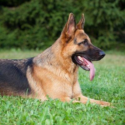 ericane93's profile picture. Jesus is Lord😇😇MuKristu Usanete✊🏿