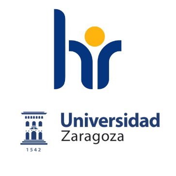 Estrategia de Recursos Humanos para los investigadores en la Universidad de Zaragoza