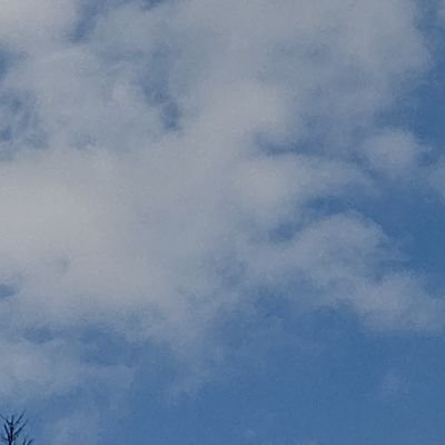 S_325_728's profile picture. 