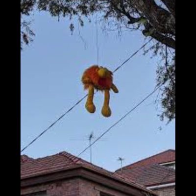 soulcatcher174's profile picture. 