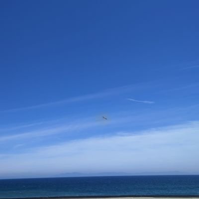 leon155764's profile picture. 