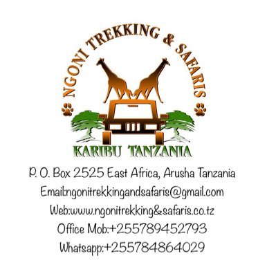 A Tour operating company located in Arusha Tanzania offering safari tours, Kilimanjaro climbing in Tanzania and the coasts of Zanzibar island