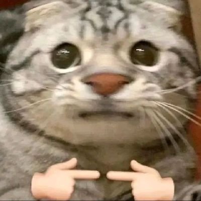 winzy_Alexandra's profile picture. 