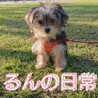 るんの日常(@xbOkS5v8mRkwwNg) 's Twitter Profile Photo