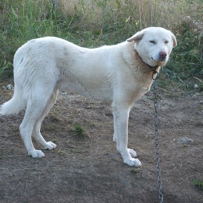 migrosda's profile picture. 