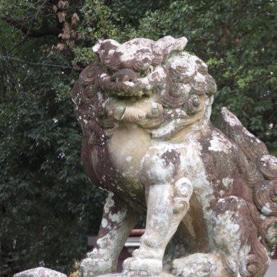 nitigetu2520no's profile picture. 散歩道で呟いています 男性です  ＤＭでの会話はしていません