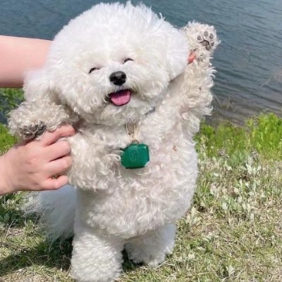 wasj88874751's profile picture. 