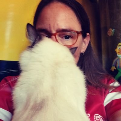 LammersJannie's profile picture. Geboren en getogen in Assen. Vrouw die gek is op haar club Ajax. Gek op Muziek.Trotse baas van Elmo