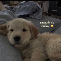 .🧸 (@ssrssrpv) 's Twitter Profile